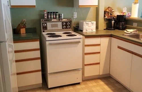 Anglemont Condo | Lakefront Condo on sunny side of Shuswap Lake