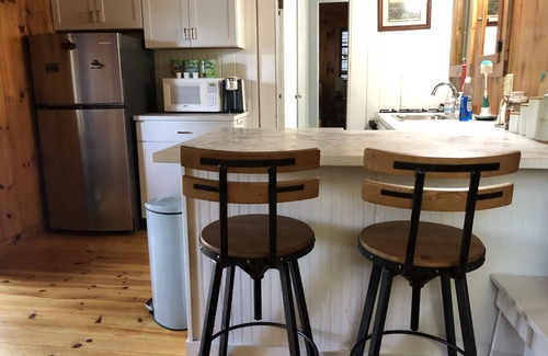 Saranac Lake Cottage | Lakefront cottage, Lake Flower, Saranac Lake, NY