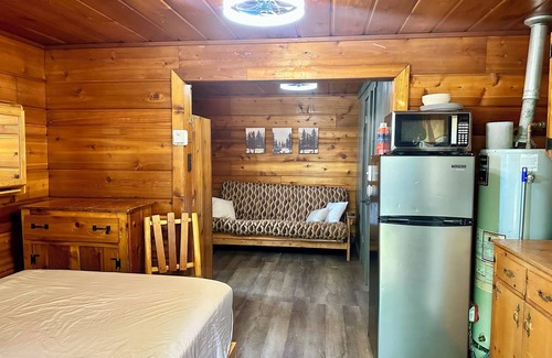 Gaylord Cabin | LAKEFRONT MINI CABIN private acre of Woods 🏞️