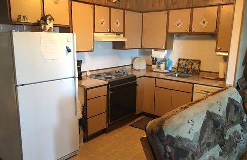 Annandale Condo | Lakeshore Condominium Cabin on Clearwater Lake