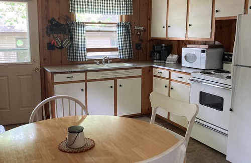 Higgins Lake House | Lakeview! 2 block walk to township beach, park and dock! Clean