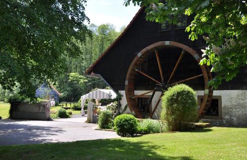 Michelstadt Hotel | Landgasthof Geiersmühle