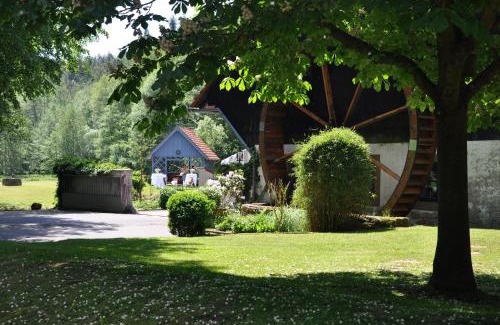 Michelstadt Hotel | Landgasthof Geiersmühle