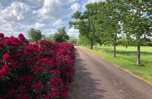 Hall Apartment | Landgoed De Blaauwe Blaer