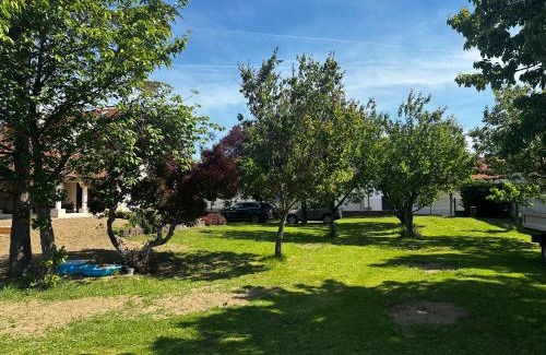 Trausdorf an der Wulka House | Landhaus Pannonia