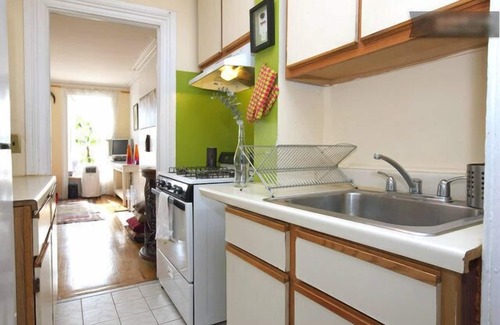 Crown Heights Apartment | Large, Beautiful, Spacious, Sun Filled & Cozy 1.5 Br Apt