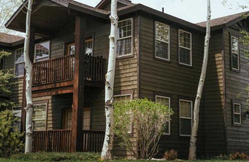 Driggs House | Large & Updated Driggs Condo Close to Town! 40 miles to Grand Teton!
