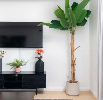 Palmerston Apartment | Large Victorian Sleeps 6 by UofT
