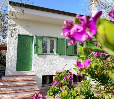 Alghero House | Larucchettina