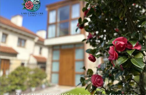 Somo House | "LAS CAMELIAS SOMO" un lugar para desconectar! Vistas al MAR!