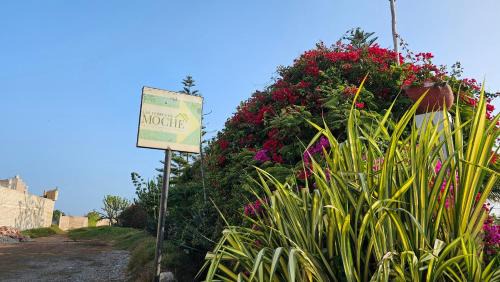 Moche House | Las Flores de Moche