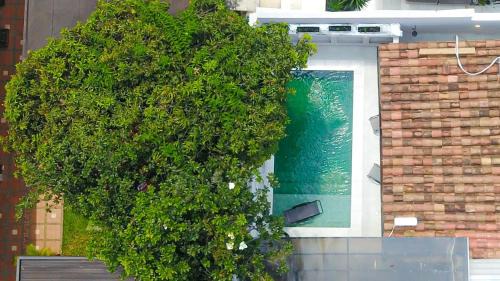 Las Lomas I House | Las Lomas Luxury House2