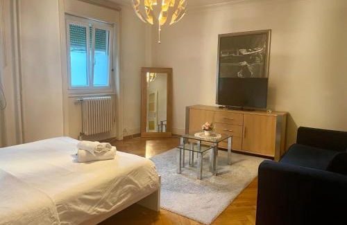 Lausanne Apartment | Lausanne superb 2 rooms apartment on the ground floor