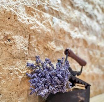 Viseu de Sus Apartment | Lavand House