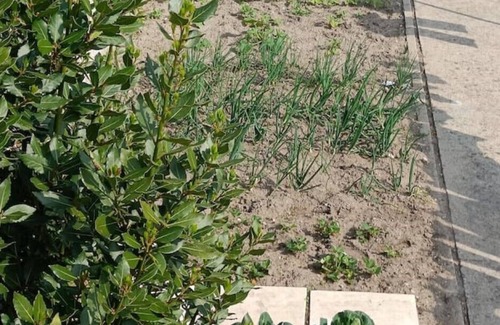 Noyant-Villages Apartment | Lavande - Studio Apartment