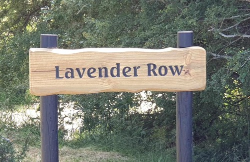 Mosgiel House | Lavender Row Farm