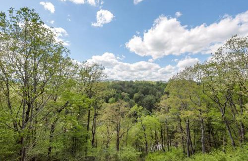 Jefferson House | Lazy Dog Log Cabin, Hot Tub, Fishing Lake, New River Access, Foosball