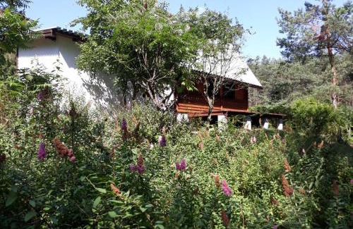 Gorzno House | Leśna Polana