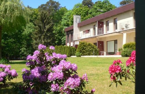 Wiselka Apartment | Leśna Wisełka