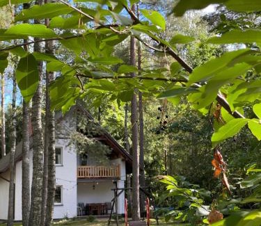 Swietajno Villa | Leśnisko
