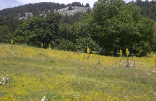 Pescasseroli Bed & Breakfast | Le antiche Torri