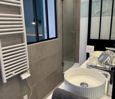 Saint-Etienne Apartment | Le bijou des carmes - Haut de gamme climatisé