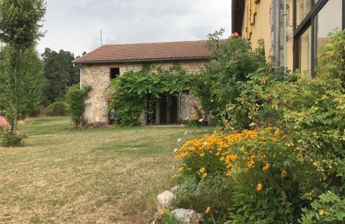 Felines House | Le Bos Clard