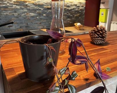 Treize-Vents House | Le bout du chemin