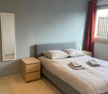 Foret Noire Apartment | Le Brasilia - Appartement neuf pour 4 personnes avec terrasse