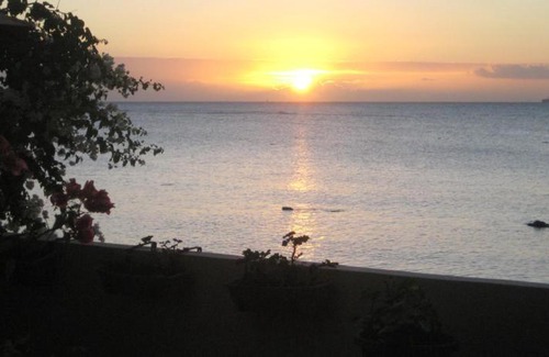 Tombeau Bay House | Le cactus guesthouse