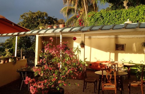 Tombeau Bay House | Le cactus guesthouse