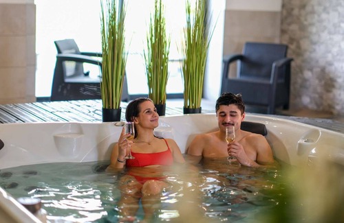 Roquemaure Other | Le Cathare - Swim spa - Hamman - Sauna - 10 people
