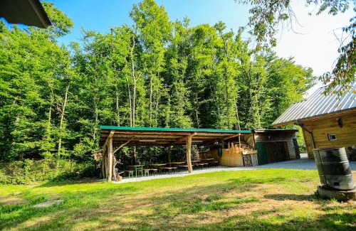 Guewenheim Ski Chalet | Le Chalet de la Forêt, ideal for your reunions