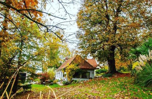 Marenla House | Le Clos de Marenla
