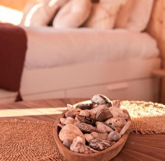 Luc-sur-Mer House | Le coquillage, la clef des paons