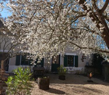 Saint-Romain-sur-Cher House | LE COTTAGE DES SABLONS près du zoo de Beauval