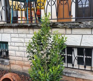 Saint-Cyprien-sur-Dourdou Bed & Breakfast | Le Curieux de Conques