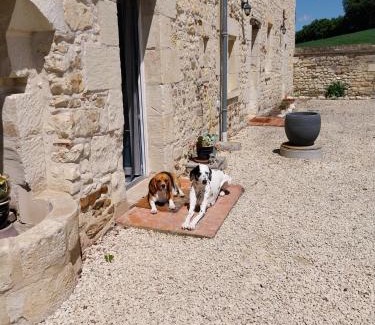 Dange-Saint-Romain Bed & Breakfast | Le Domaine de Bella