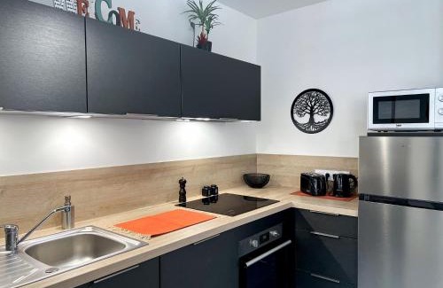 Aurillac Apartment | Le frère Charmes