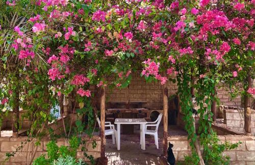 Ghardaia House | Le Garden Ghardaia