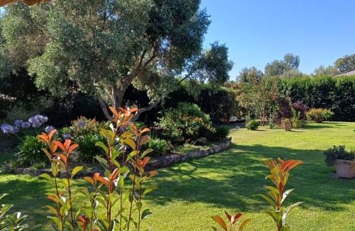 Ventiseri Apartment | Le jardin de Domi