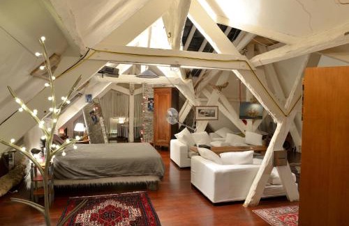 Gaudiniere Apartment | Le Loft de l'artiste