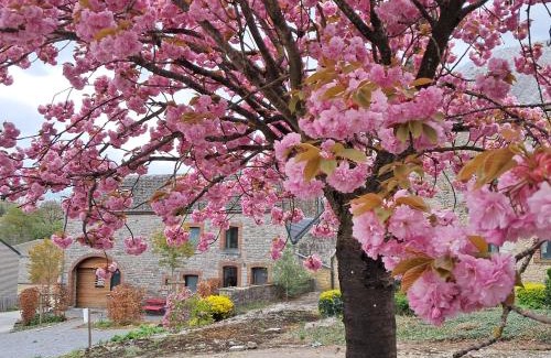 Hotton House | « Le LoMa » Ancienne fermette