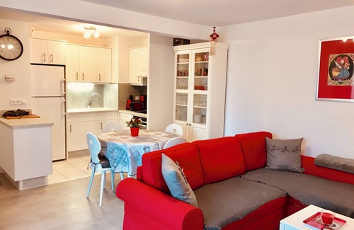 Quartier Saint-Leon Apartment | "LE MANALA" charming 3* furnished apartment in Colmar large terrace, park & private parking lot