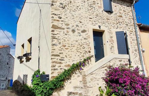 Montesquieu-des-Alberes House | Le Micocoulier
