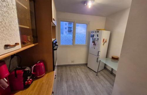 Centre Ville Apartment | Le Mirabelle - Balcony - Pyrenees View - Expo Fair