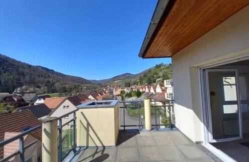 Kaysersberg-Vignoble Apartment | Le panorama - Appartement meublé 5 pièces cuisine salle de bain