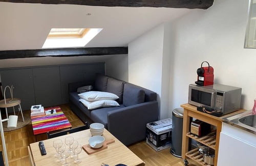 Gorge de Loup Apartment | Le Petit Arloing-Studio Quais de Saône Vaise