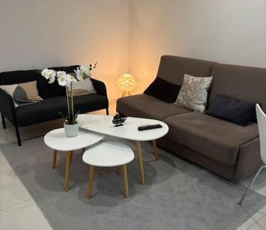 Joinville-le-Pont Apartment | Le petit moret