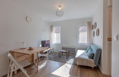 Romorantin-Lanthenay Apartment | Le petit Romo - Entre châteaux et Beauval